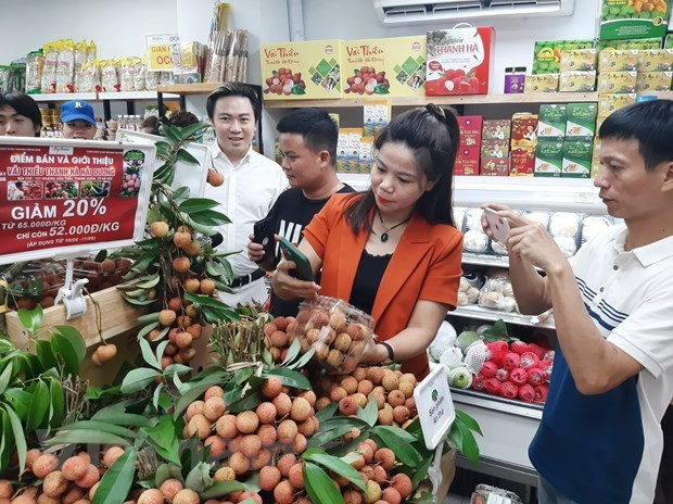 Vietnam expands export of agricultural products to China ảnh 2