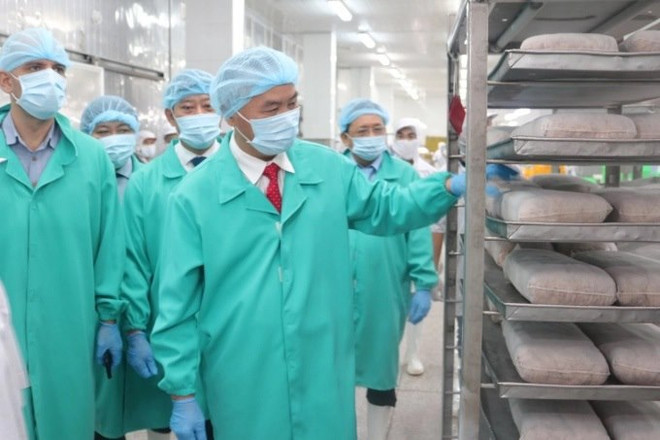 Vietnam striving to combat IUU fishing: Spanish official ảnh 2