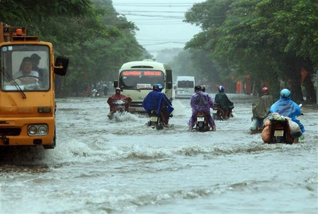 Huge efforts made to deal with natural disaster consequences ảnh 1 Huge efforts made to deal with natural disaster consequences ảnh 1