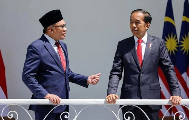 Malaysia prioritises promoting relations with Indonesia ảnh 1