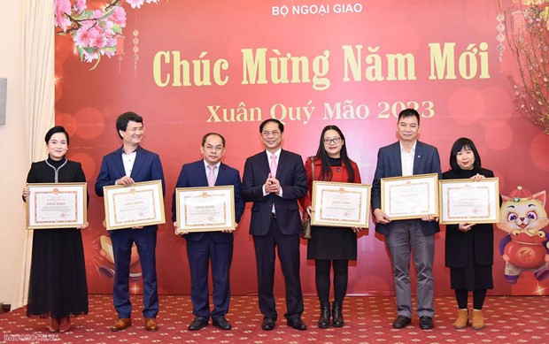 External information service contributes to national achievements: Minister ảnh 1