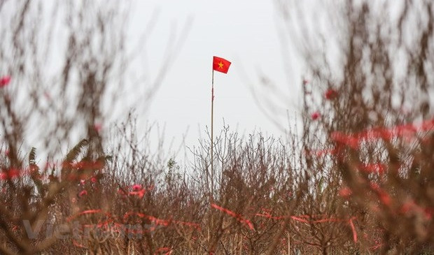Cold weather to blanket northern Vietnam in Lunar New Year holidays ảnh 1 Cold weather to blanket northern Vietnam in Lunar New Year holidays ảnh 1