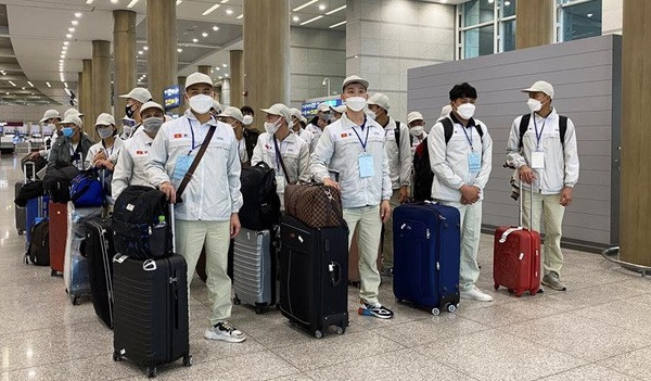 Measures sought to build standardised recruitment process of labourers to work in Japan ảnh 1