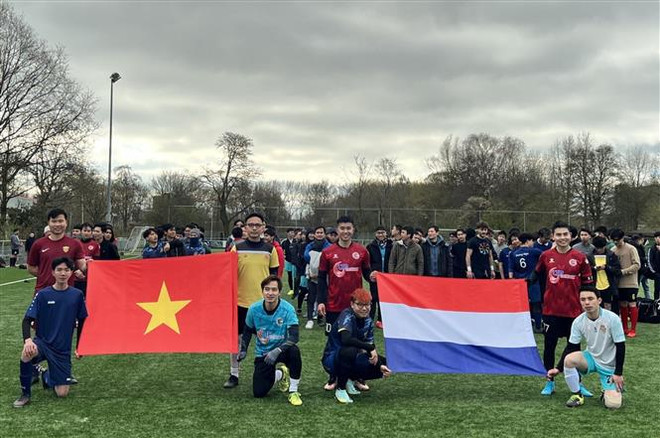 Vietnamese associations in Netherlands organise sports activities ảnh 1