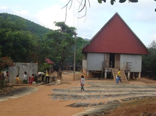 Three ethnic villages in Binh Dinh connected to electricity grid ảnh 1