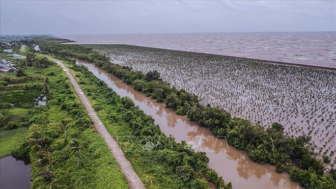 Measures needed to make Mekong Delta adaptive to climate change ảnh 1
