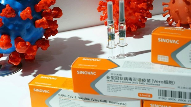 Myanmar approves Sputnik V vaccine, Indonesia to use Sinovac vaccine for the elderly ảnh 1 Myanmar approves Sputnik V vaccine, Indonesia to use Sinovac vaccine for the elderly ảnh 1
