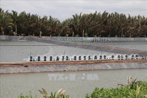 Tra Vinh to expand aquaculture area by 2,500 hectares to 2030 ảnh 1