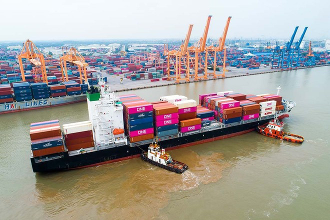 Maritime giant to raise chartered capital to expand business ảnh 3