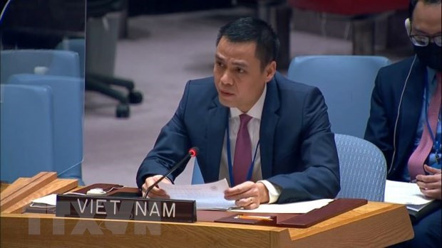 Vietnam ready to make substantive contributions to UN development forums: Ambassador ảnh 1
