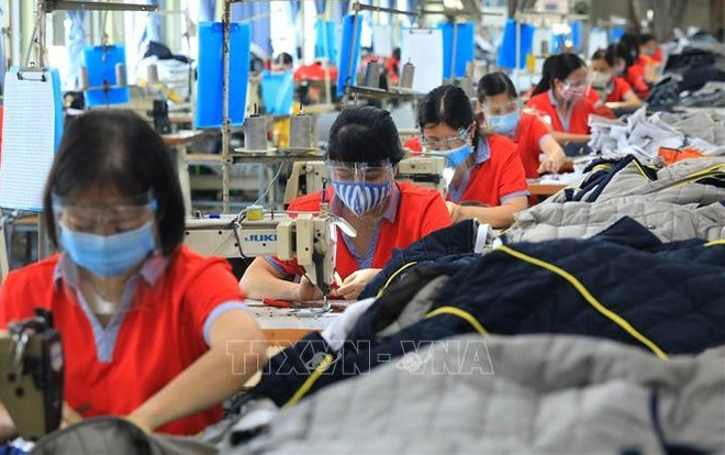 Domestic labour market bouncing back: GSO ảnh 1 Domestic labour market bouncing back: GSO ảnh 1