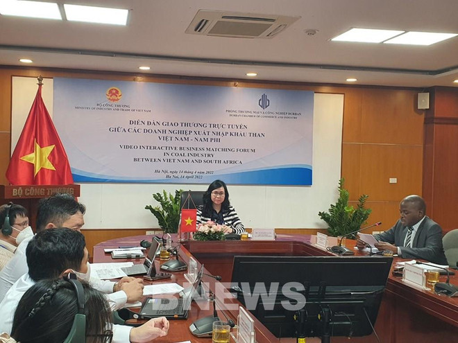 Vietnam seeks to increase coal import from South Africa ảnh 1