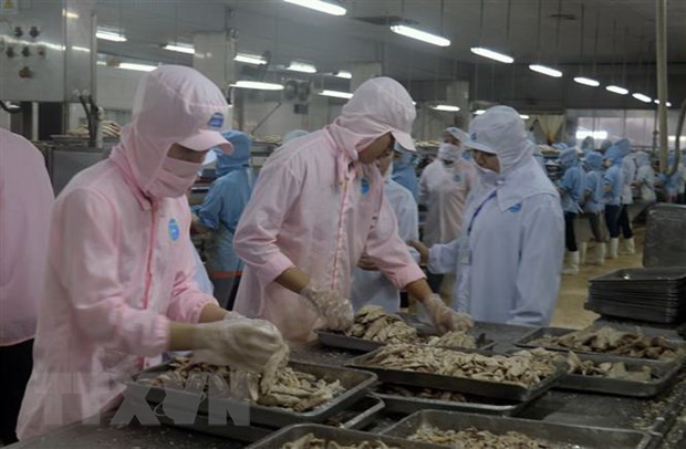 Vietnamese, US officials talk economic, trade issues ảnh 1 Vietnamese, US officials talk economic, trade issues ảnh 1