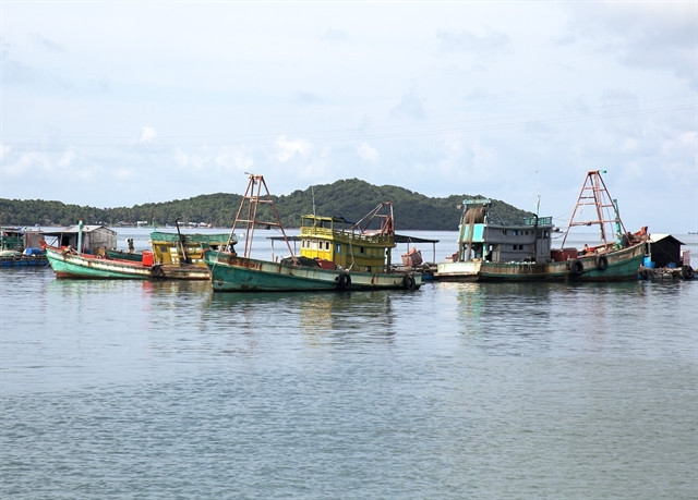 Kien Giang invests over 28 mln USD in fishing infrastructure ảnh 1 Kien Giang invests over 28 mln USD in fishing infrastructure ảnh 1