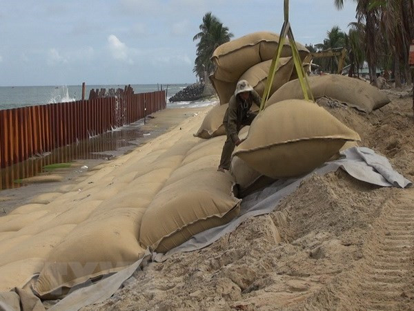 Long An to spend over 1 trillion VND on anti-erosion projects ảnh 1