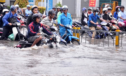 HCM City, experts reject flood control proposal ảnh 1