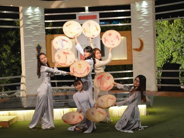 Vietnamese cultural show goes live on Egypt’s television ảnh 1