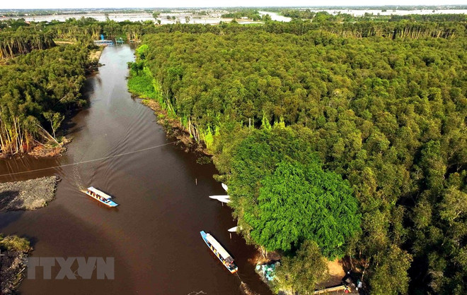 Action programme on sustainable development in Mekong Delta ảnh 1