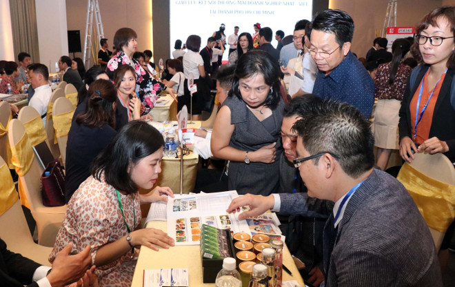Vietnamese, Japanese firms seek investment, trade partnerships ảnh 1