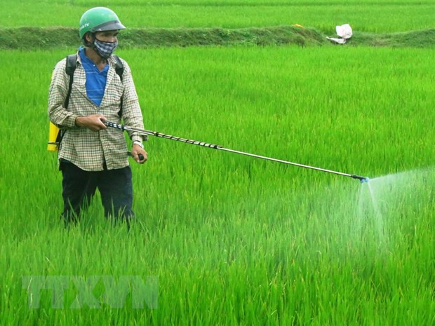 Vietnam bans weed killer ingredient glyphosate ảnh 1