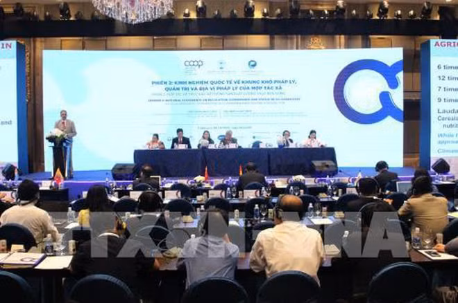 Enabling legal framework for cooperatives’ development needed ảnh 1