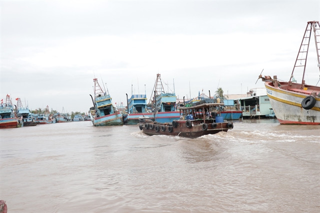 Ben Tre eyes sustainable development of marine economy ảnh 1