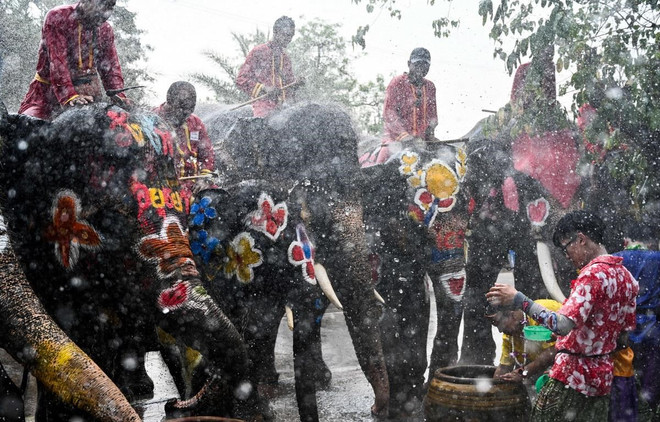 Hai Phong holds friendship exchange with Southeast Asian students ảnh 1 Hai Phong holds friendship exchange with Southeast Asian students ảnh 1