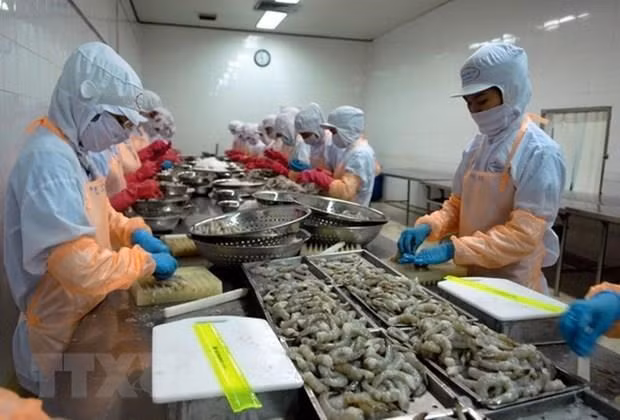 Vietnam Export-Import Report 2018 announced ảnh 1