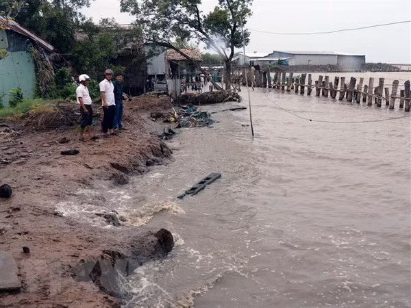 Conference looks to fight coastal erosion in Mekong Delta ảnh 1