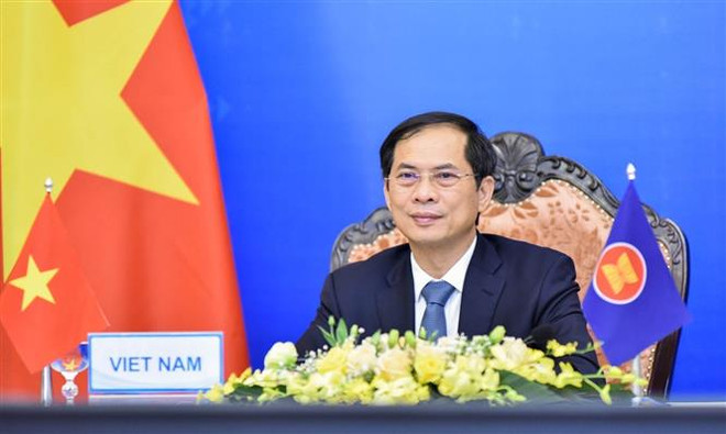Foreign Minister attends AMMR via videoconference: Spokeswoman ảnh 1