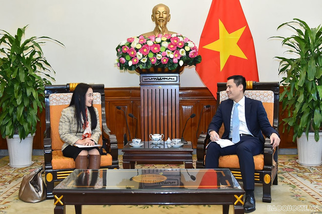 UNDP, UNFPA pledge to help Vietnam in post-pandemic recovery ảnh 2 UNDP, UNFPA pledge to help Vietnam in post-pandemic recovery ảnh 2
