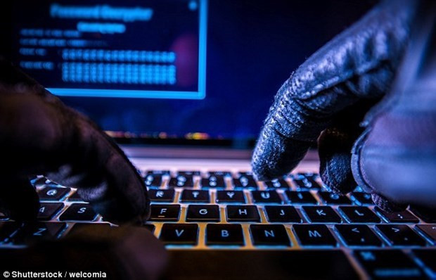  Vietnam reports over 240 cyber-attacks during Tet ảnh 1