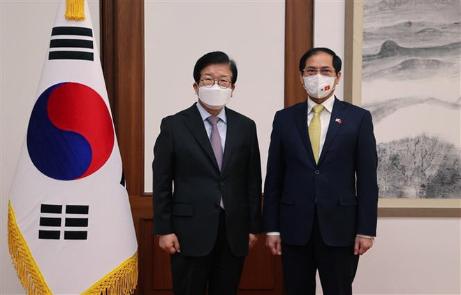 Vietnam’s foreign minister meets RoK’s parliament speaker, Deputy PM ảnh 1 Vietnam’s foreign minister meets RoK’s parliament speaker, Deputy PM ảnh 1