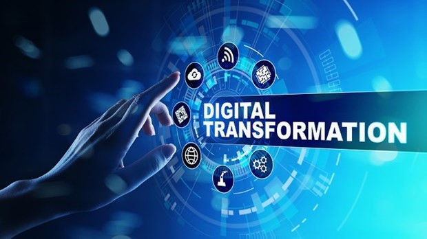 Long An attaches importance to human resources in digital transformation: official ảnh 1 Long An attaches importance to human resources in digital transformation: official ảnh 1