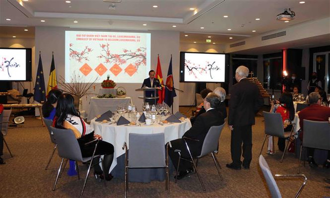OVs in Belgium, Luxembourg help promote EU-Vietnam ties ảnh 1
