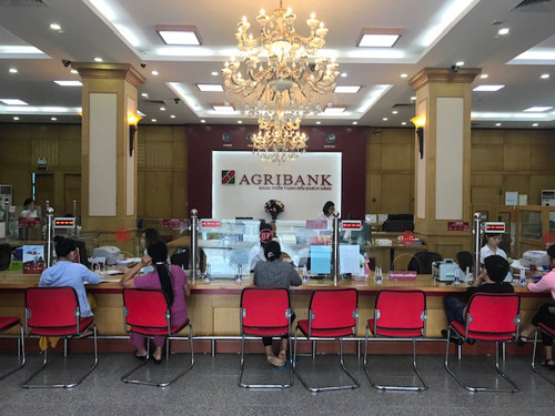 Agribank ranks highest among Vietnamese banks in Brand Finance Banking 500 ảnh 1 Agribank ranks highest among Vietnamese banks in Brand Finance Banking 500 ảnh 1