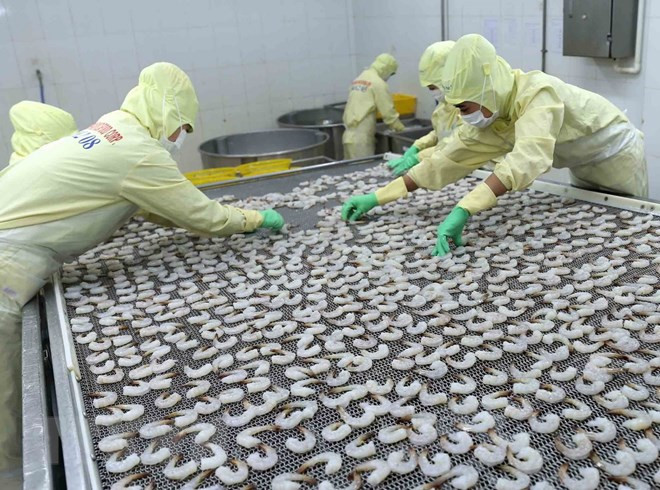 Minister urges fisheries development to base on three pillars ảnh 1
