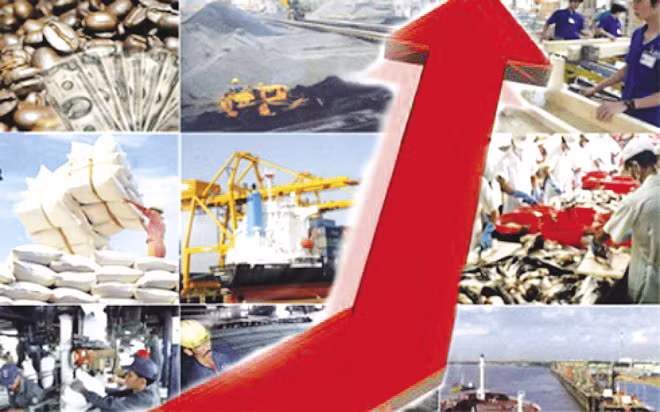 Seminar seeks ways to improve growth quality ảnh 1