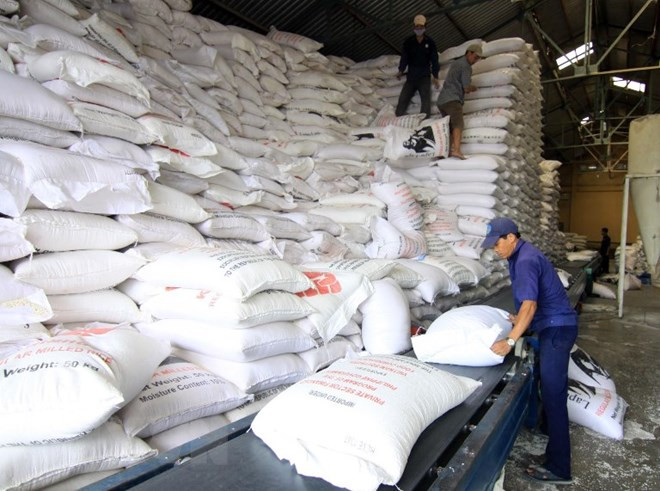 Philippines to import 250,000 tonnes of rice from Vietnam or Thailand ảnh 1