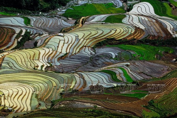 Paragliding festival to take place in Yen Bai ảnh 1 Paragliding festival to take place in Yen Bai ảnh 1