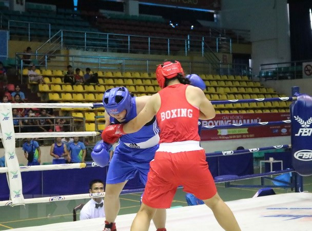 Vietnam aims for 10 tickets to Youth Olympic Games 2018 ảnh 1