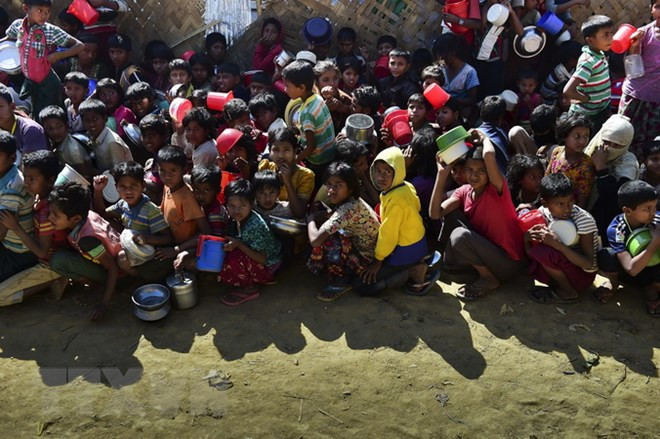 UN Security Council to press for Rohingya solution ảnh 1 UN Security Council to press for Rohingya solution ảnh 1