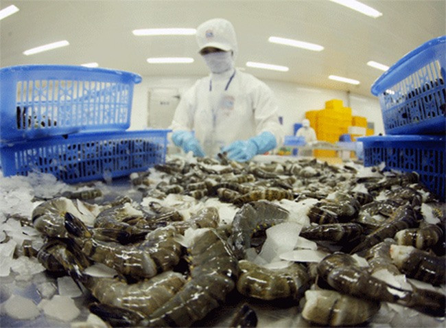 Aquatic product exports bring home 2.4 billion USD in four months ảnh 1 Aquatic product exports bring home 2.4 billion USD in four months ảnh 1