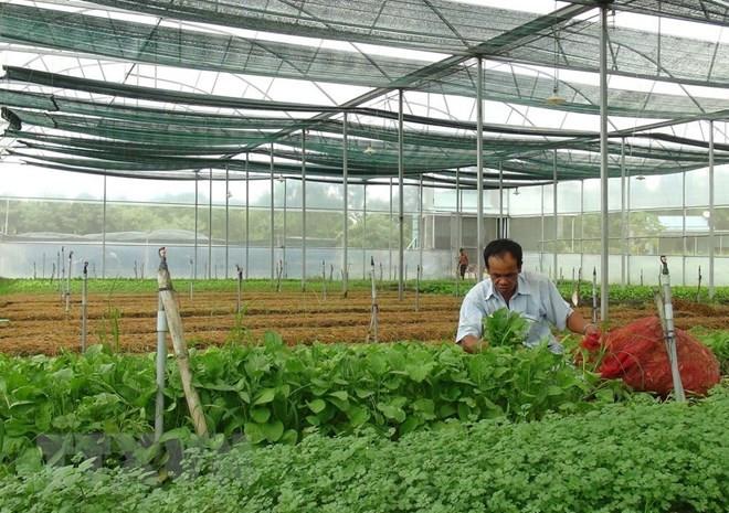 Forum seeks solutions for high-tech agriculture ảnh 1 Forum seeks solutions for high-tech agriculture ảnh 1
