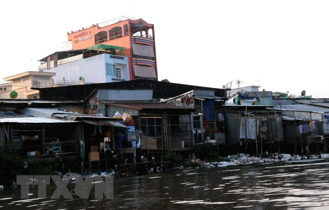 Southernmost province cracks down on environmental pollution ảnh 1 Southernmost province cracks down on environmental pollution ảnh 1