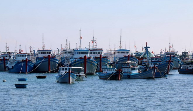 Phu Yen fishermen urged to maintain fishing activities ảnh 1
