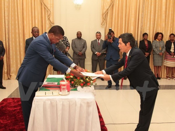 Zambia wishes to expand cooperation with Vietnam ảnh 1