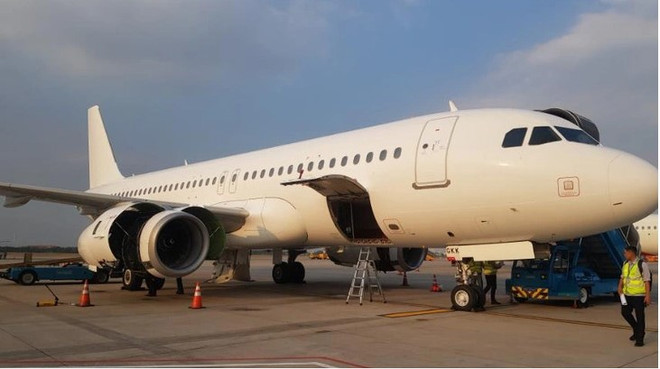 Carrier widens fleet for Tet holiday ảnh 1