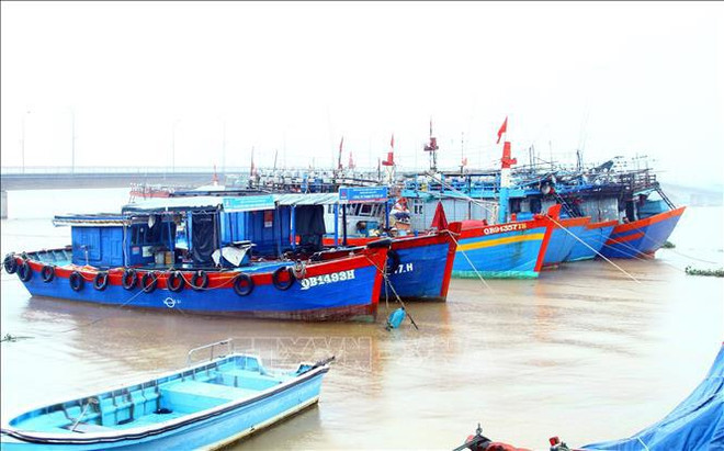 Quang Binh province works hard on fighting IUU fishing ảnh 1