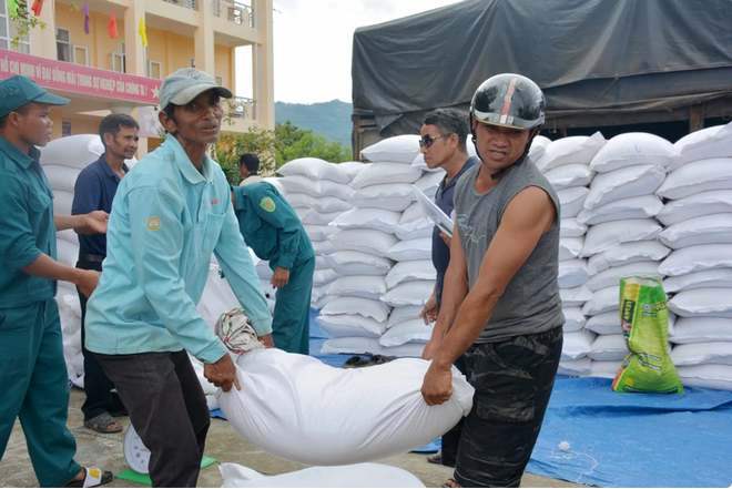 Nearly 15,500 tonnes of rice allocated for 17 provinces ảnh 1